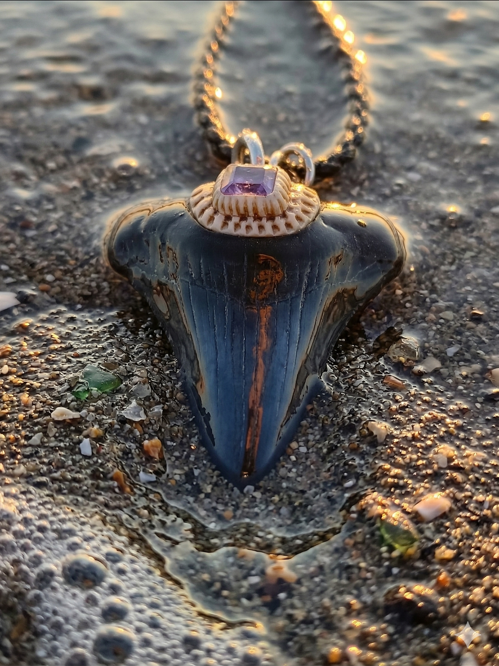 Fossil Tooth + Water Sapphire