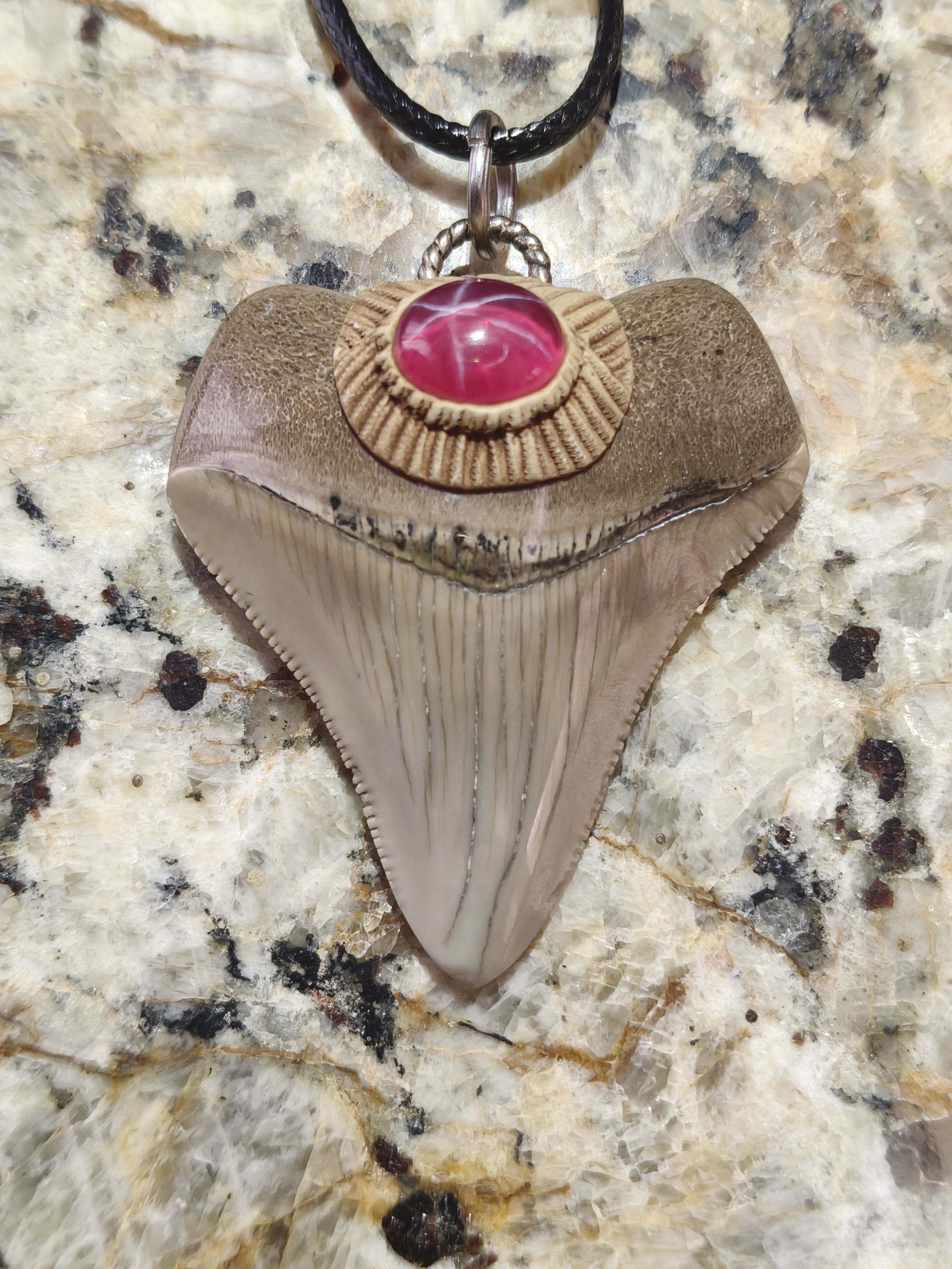 Fossil Tooth + Star Ruby