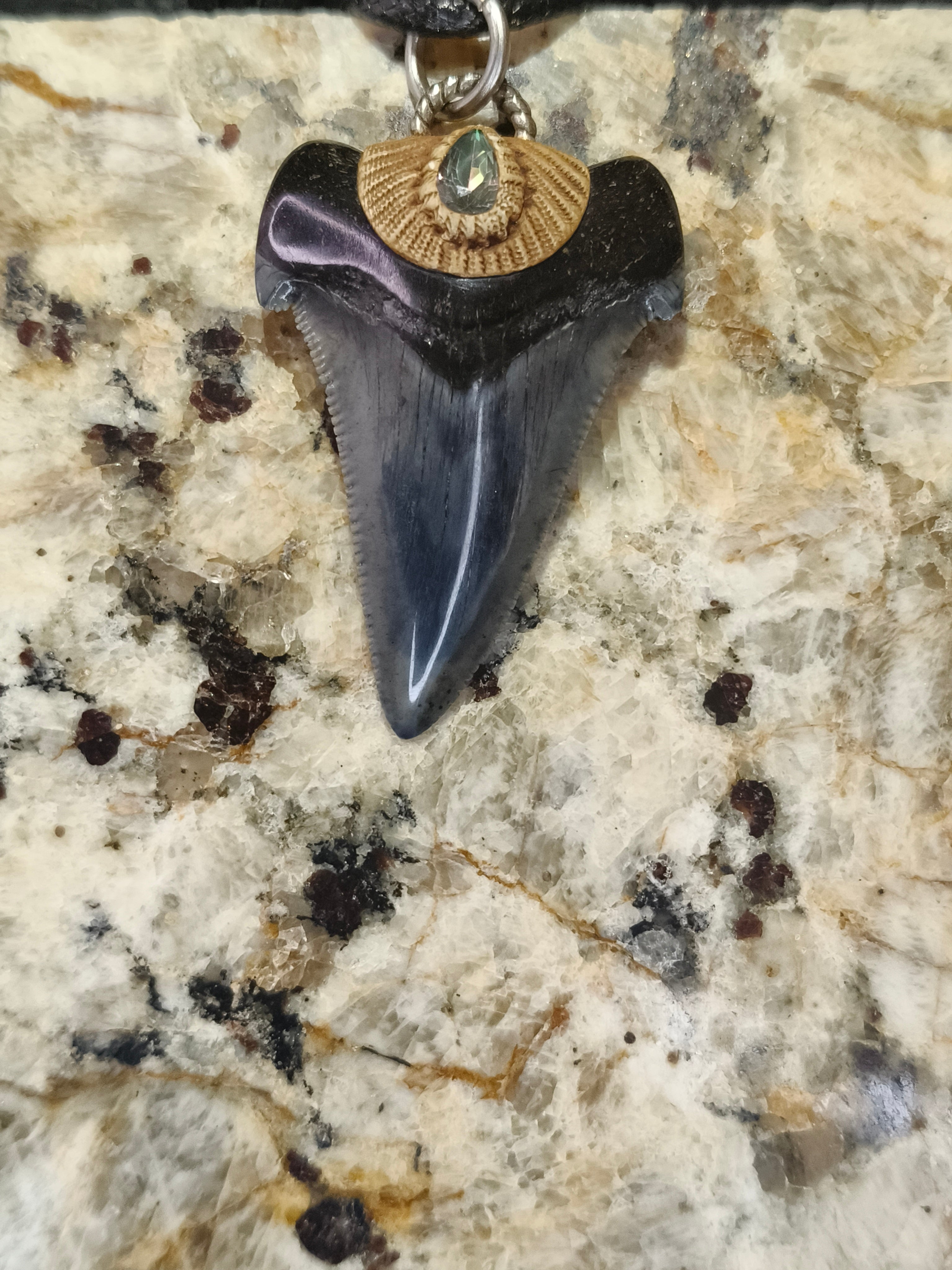 Fossil Tooth + Mystic Topaz