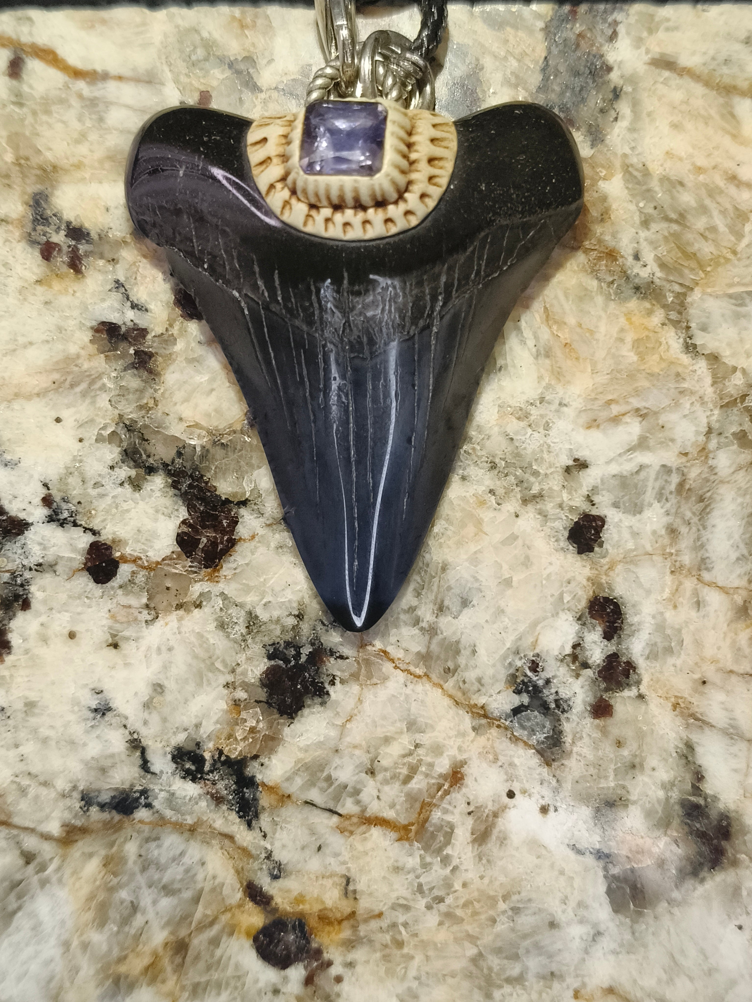 Fossil Tooth + Water Sapphire