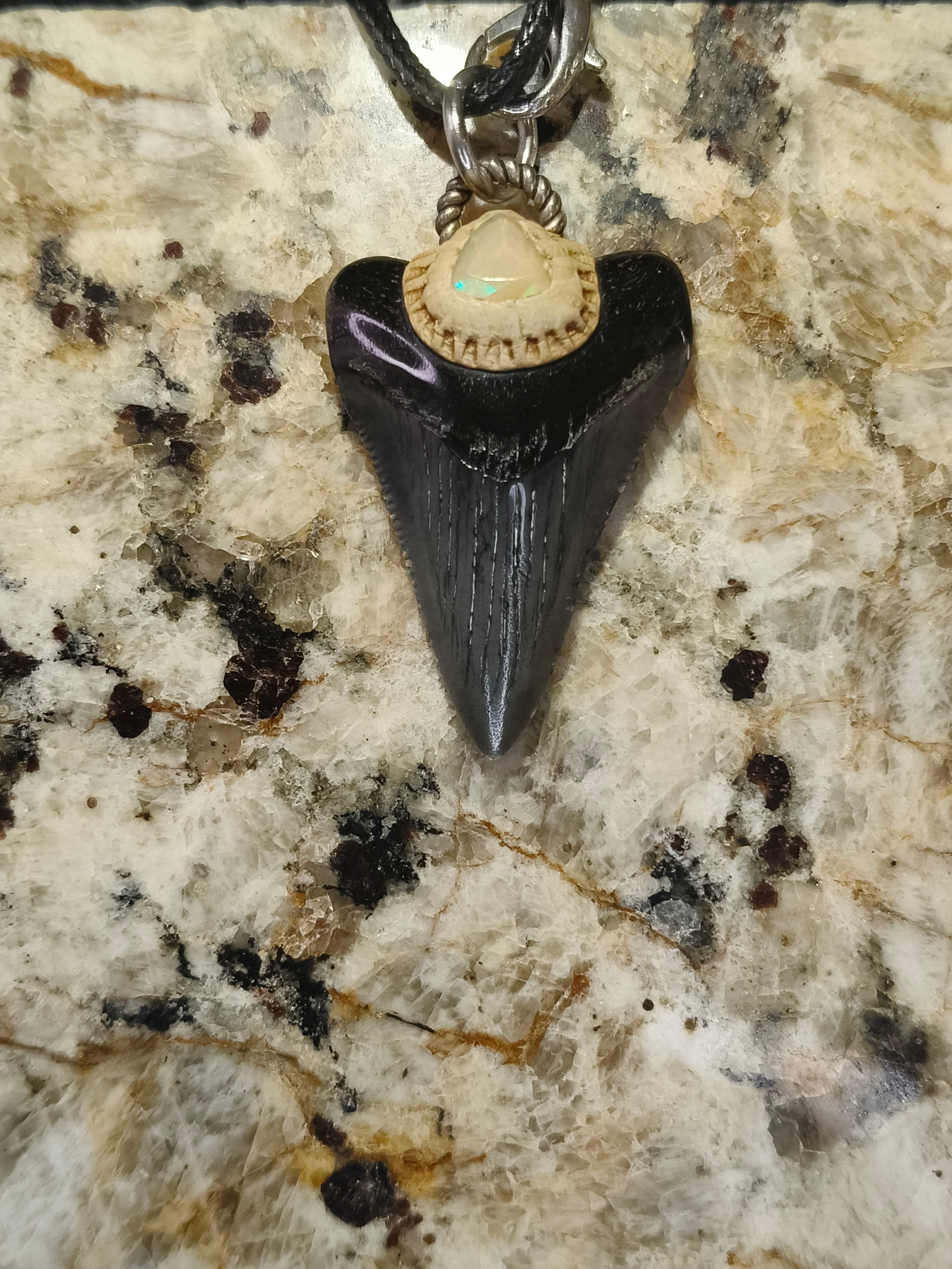 Fossil Tooth + Ethiopian Opal