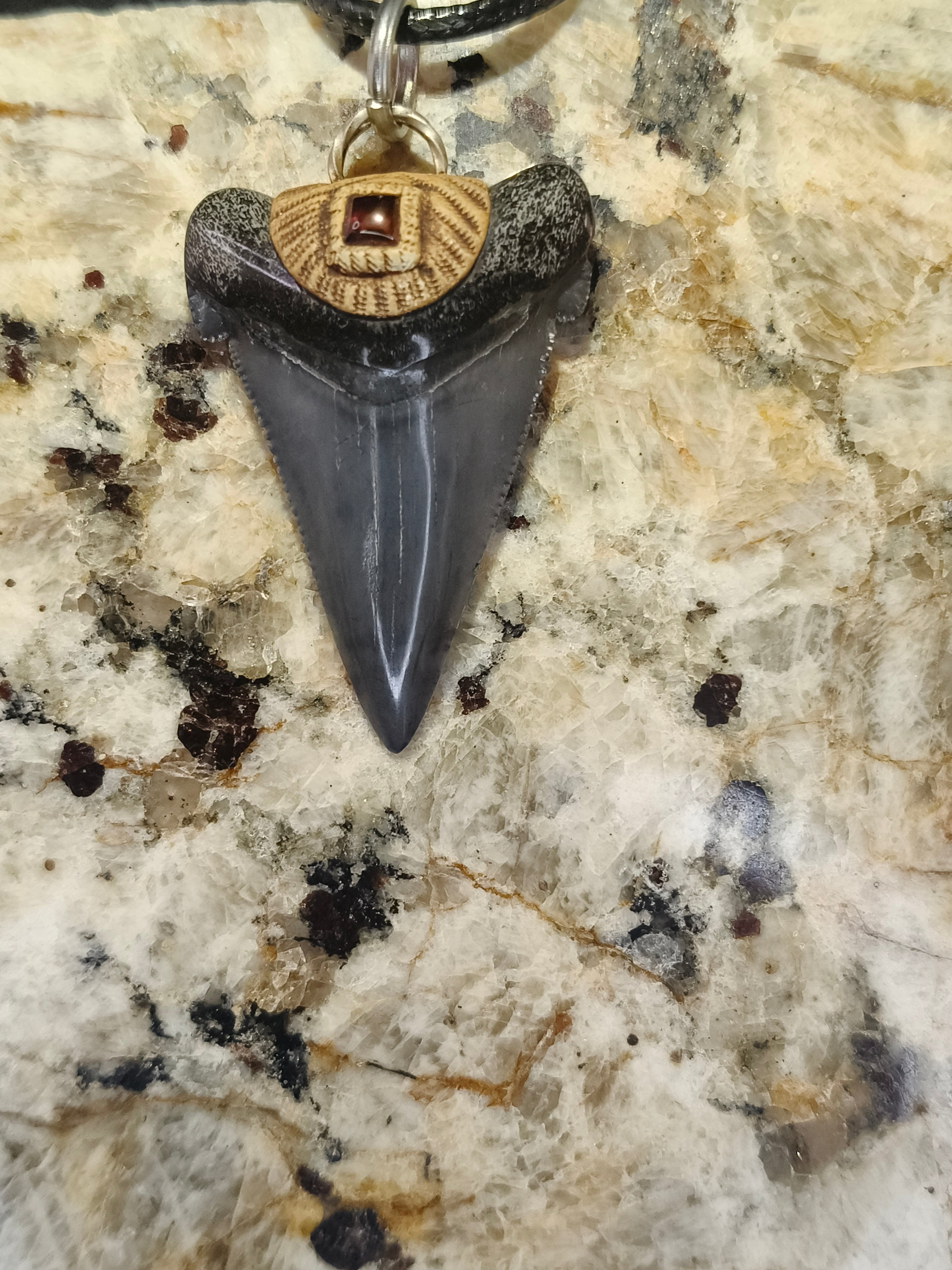 Fossil Tooth + Garnet