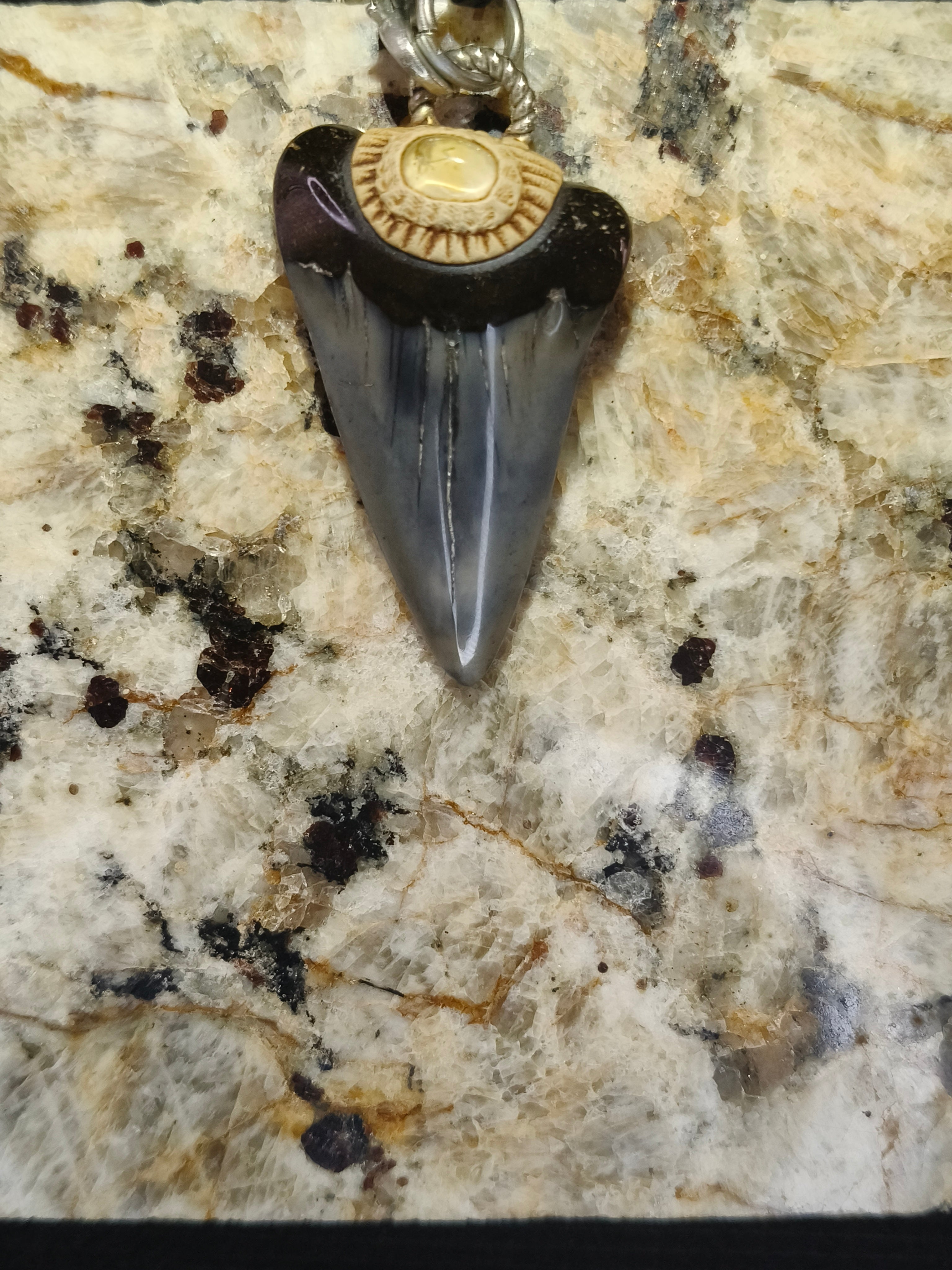 Fossil Tooth + Water Melon Tourmaline