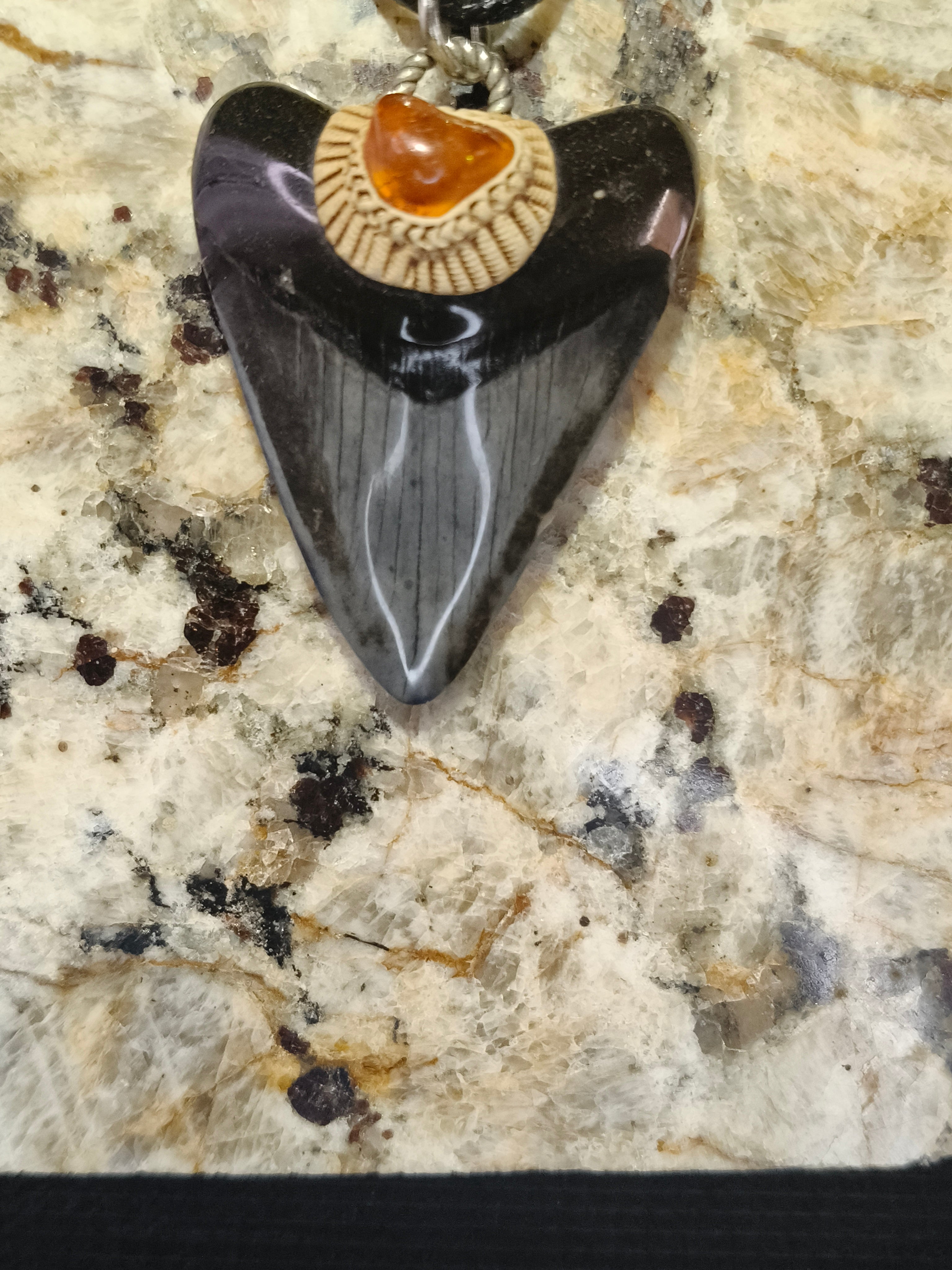 Fossil Tooth + Russian Baltic Amber