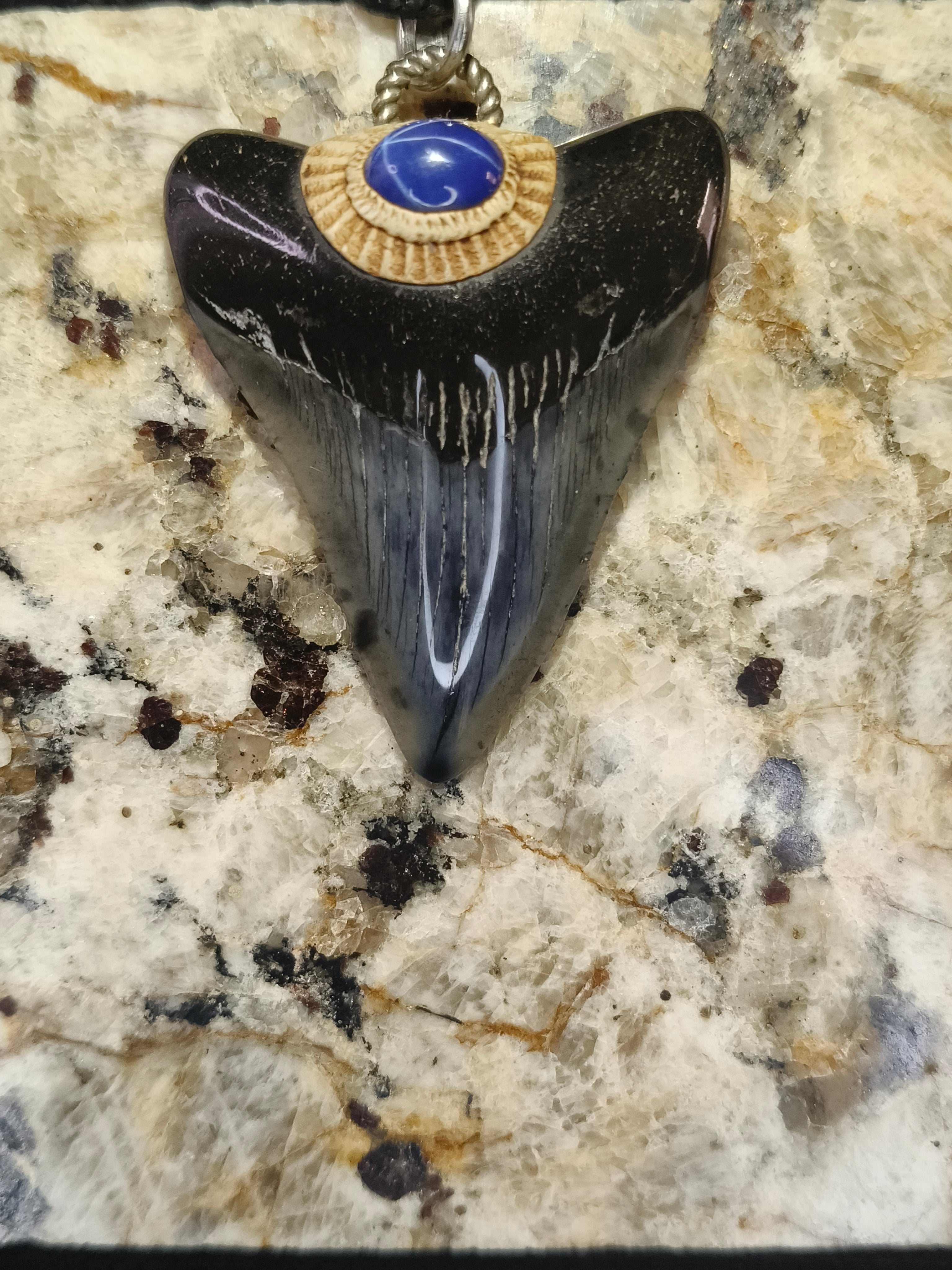 Fossil Tooth + Star Sapphire