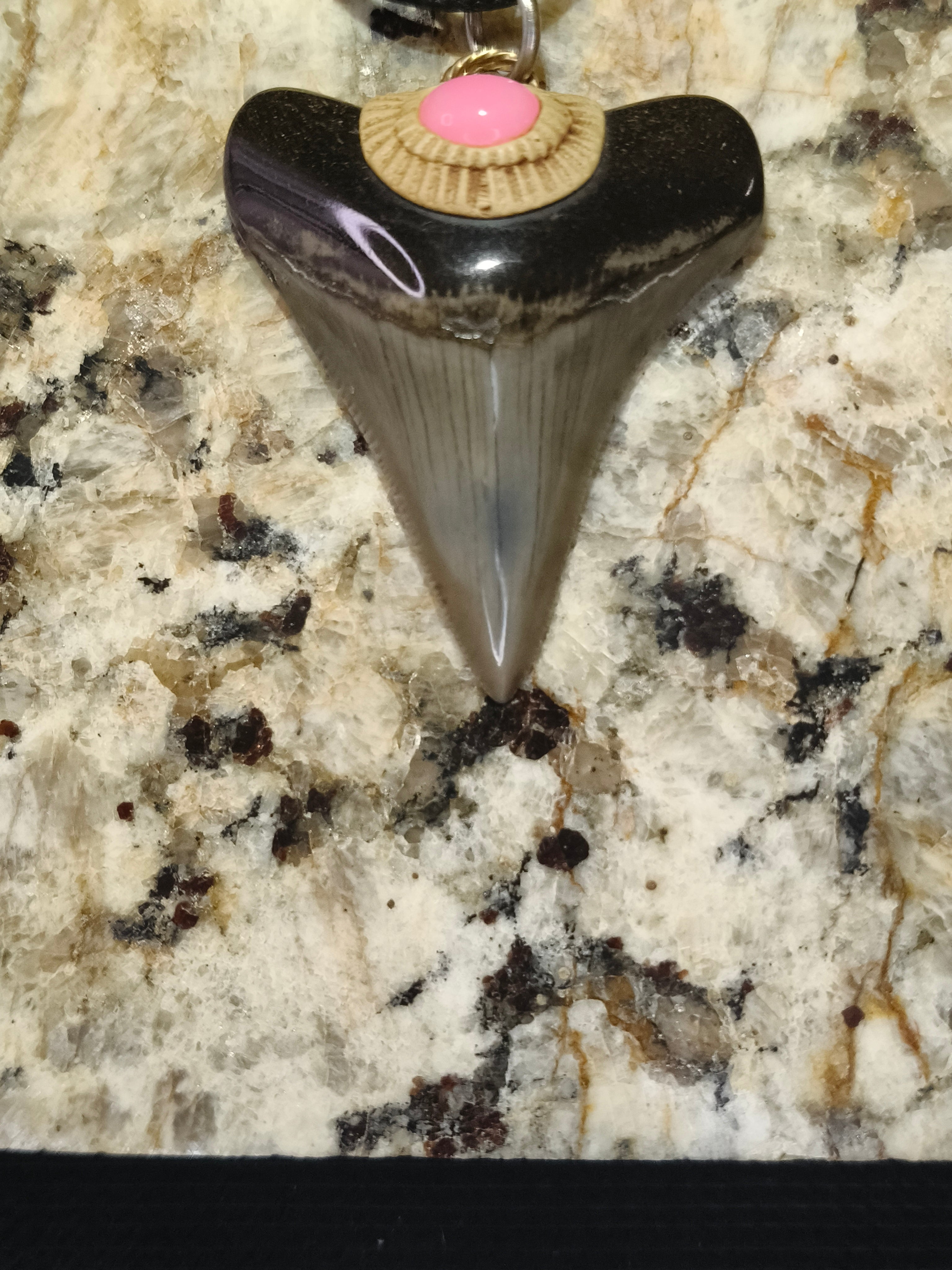 Fossil Tooth + Pink Ethiopian Opal