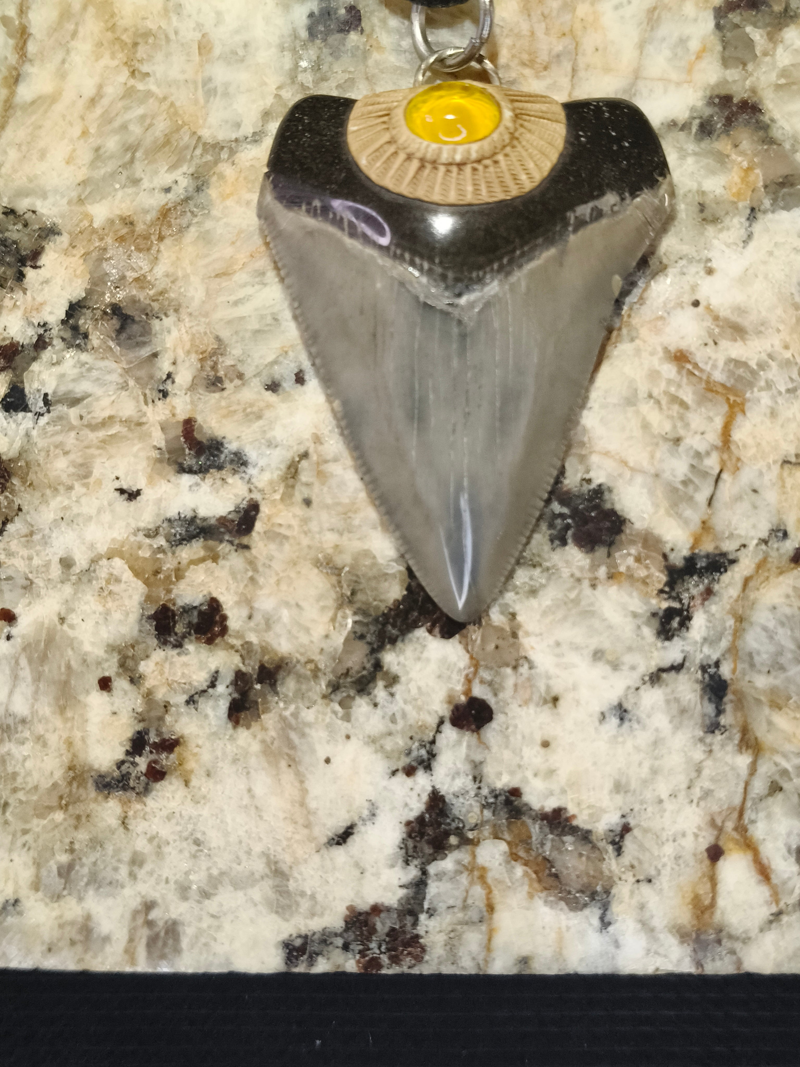 Fossil Tooth + Yellow Sapphire