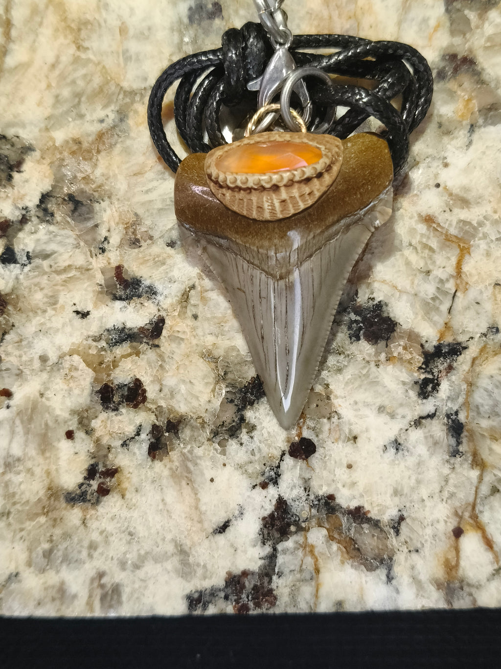 Fossil Tooth + Carnelian