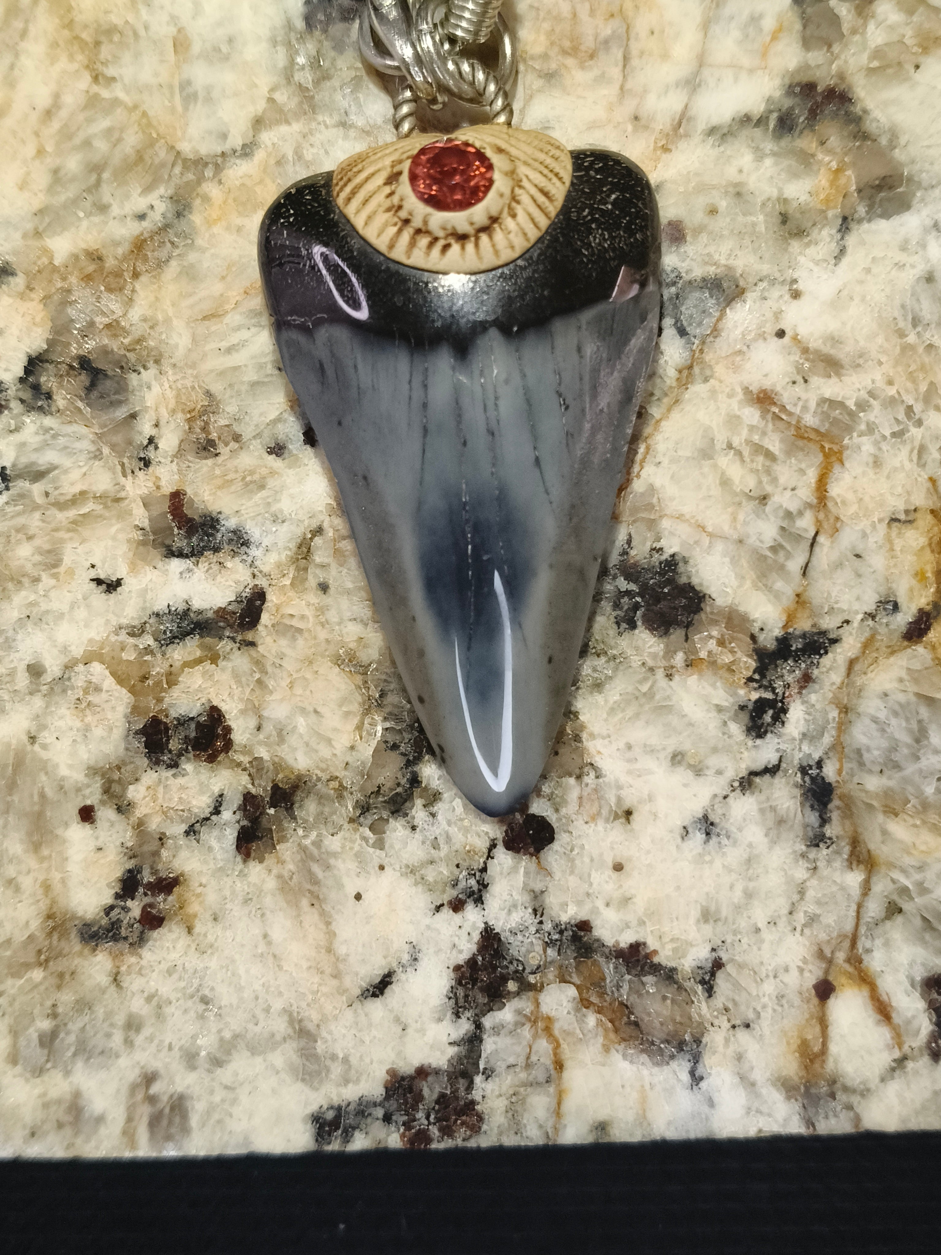 Fossil Tooth + Pink Tourmaline