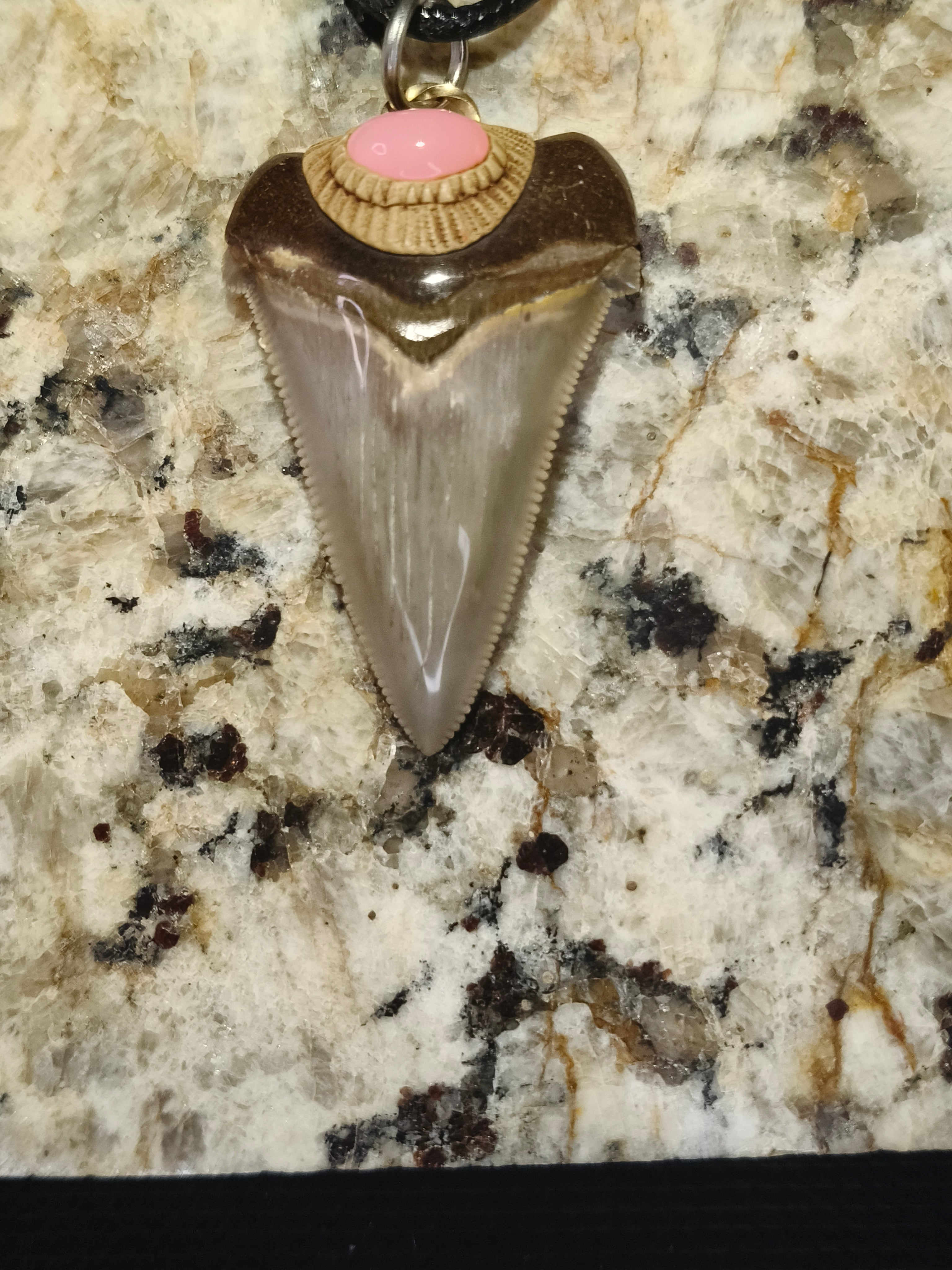 Fossil Tooth + Pink Opal