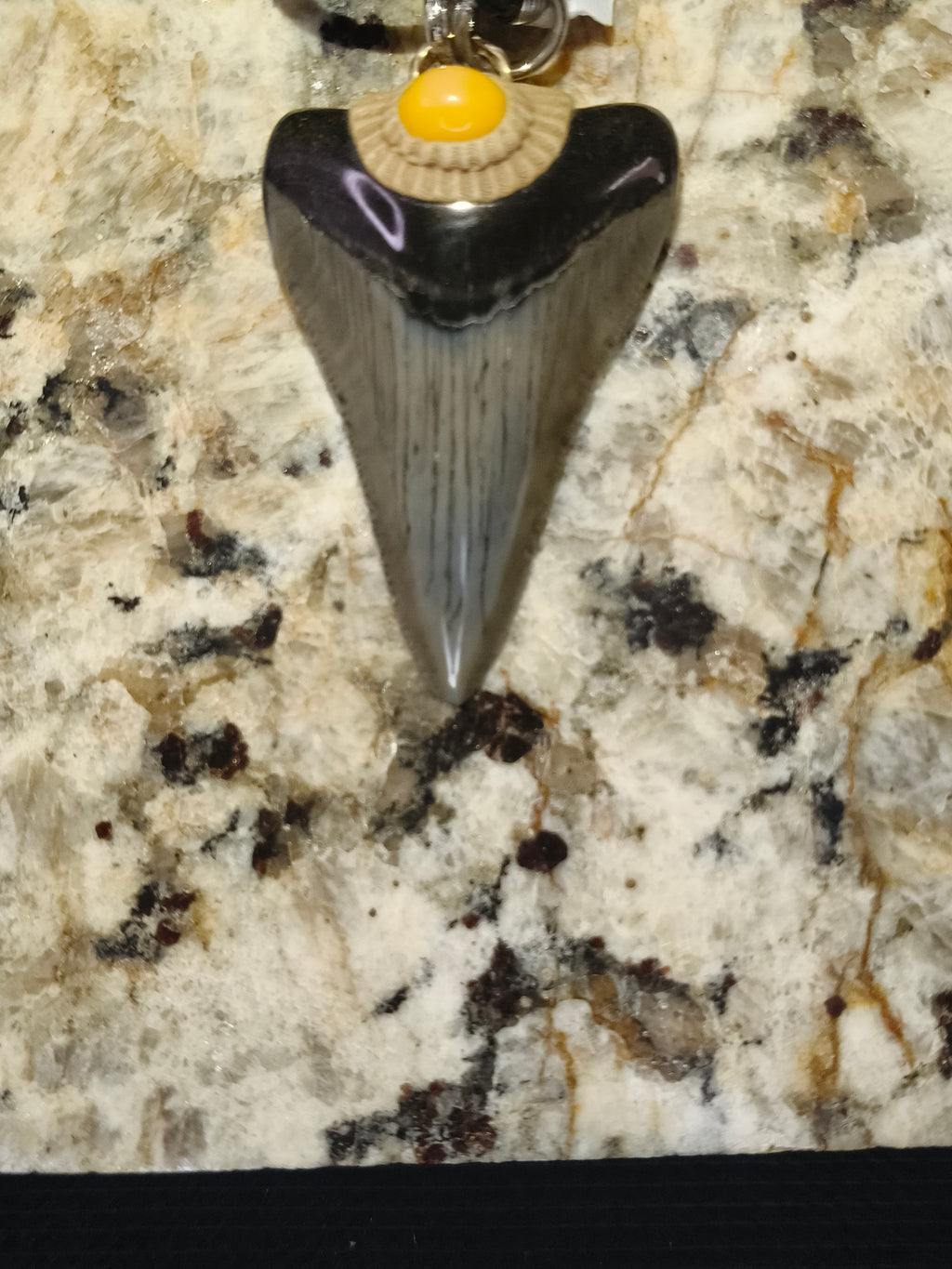Fossil Tooth + Orange Opal