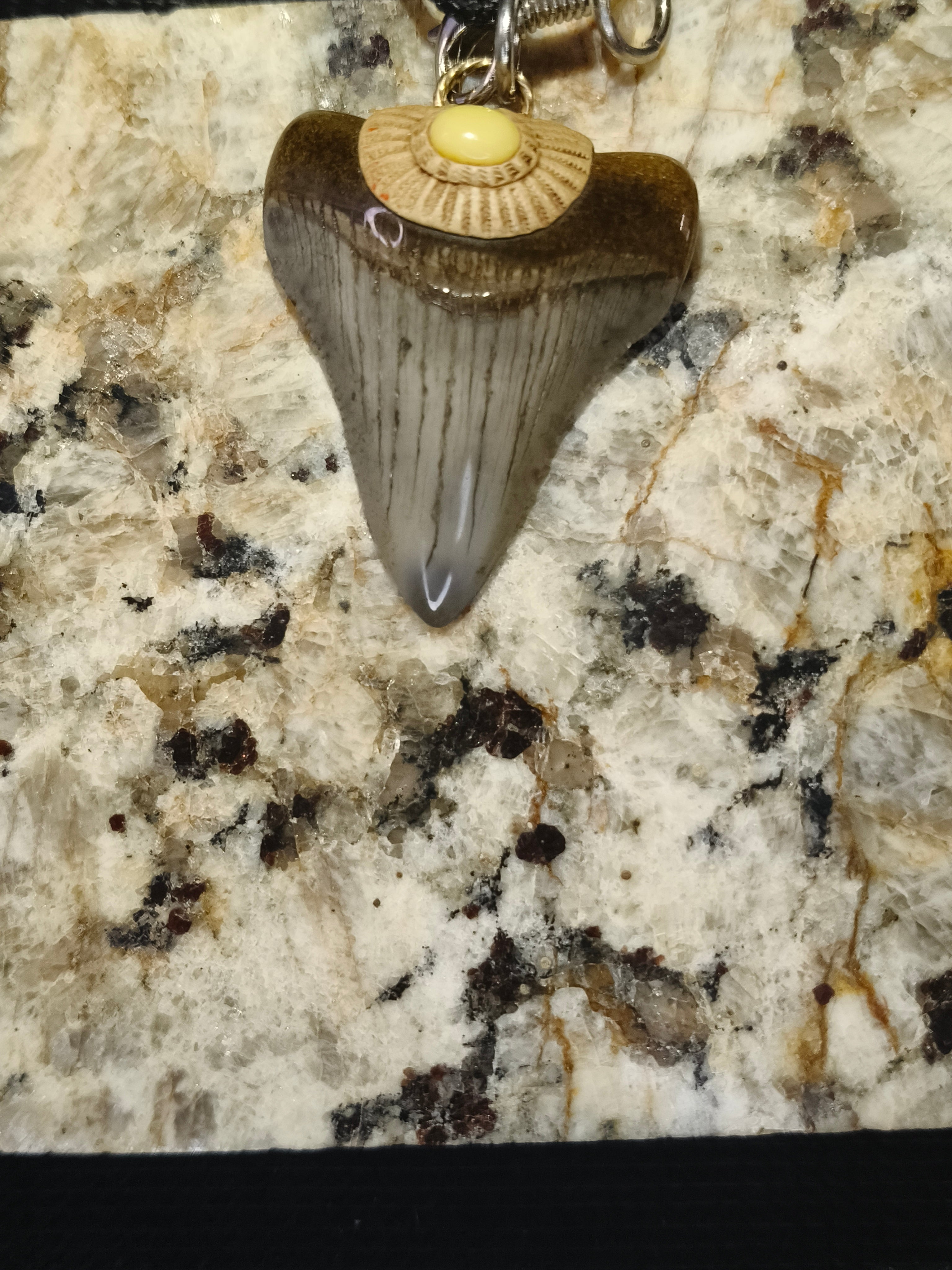 Fossil Tooth + Natural Opal