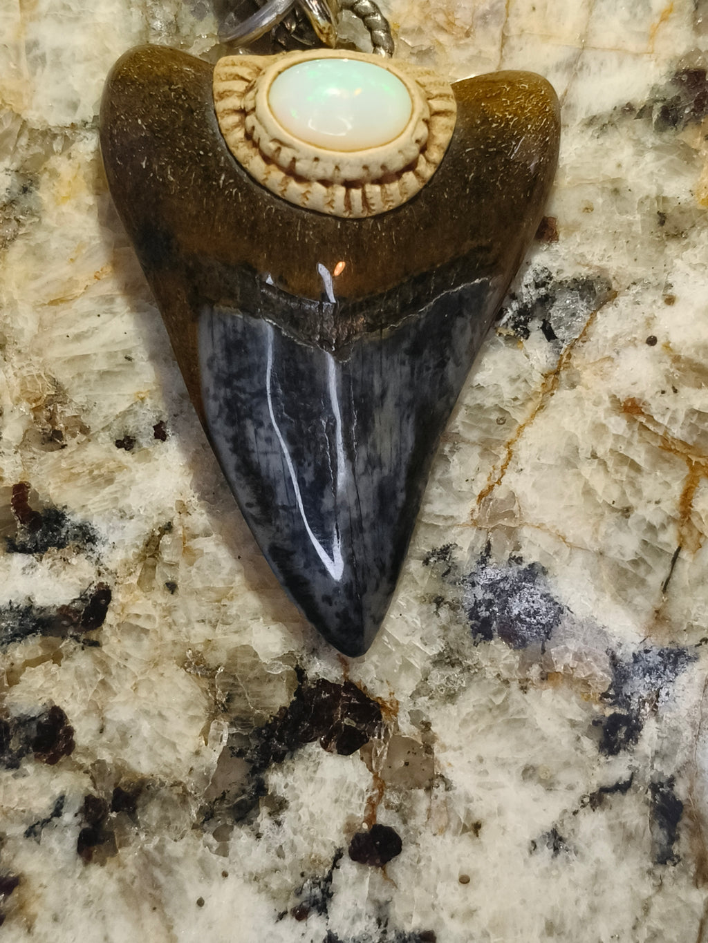 Fossil Tooth + Ethiopian Opal