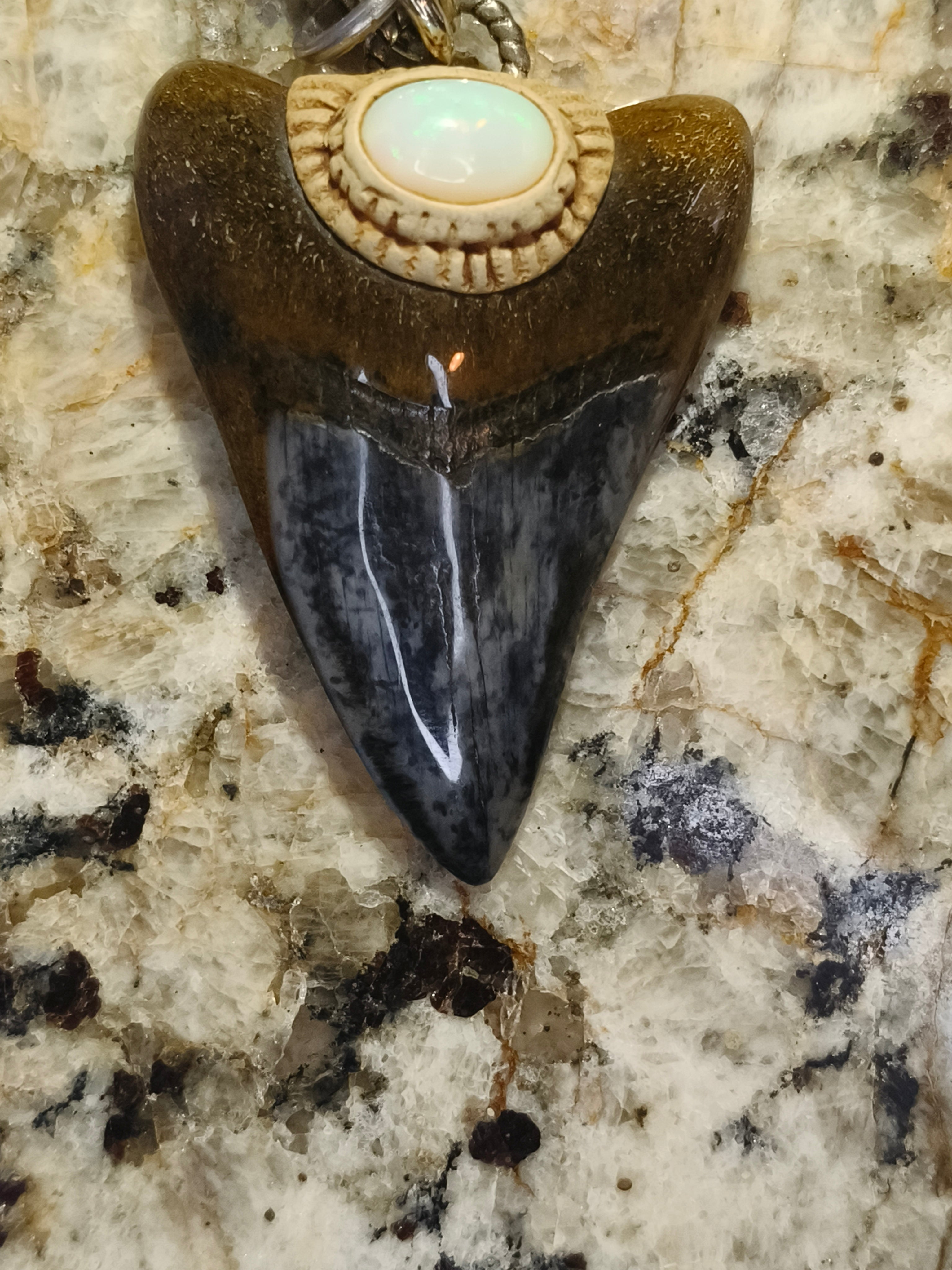 Fossil Tooth + Ethiopian Opal