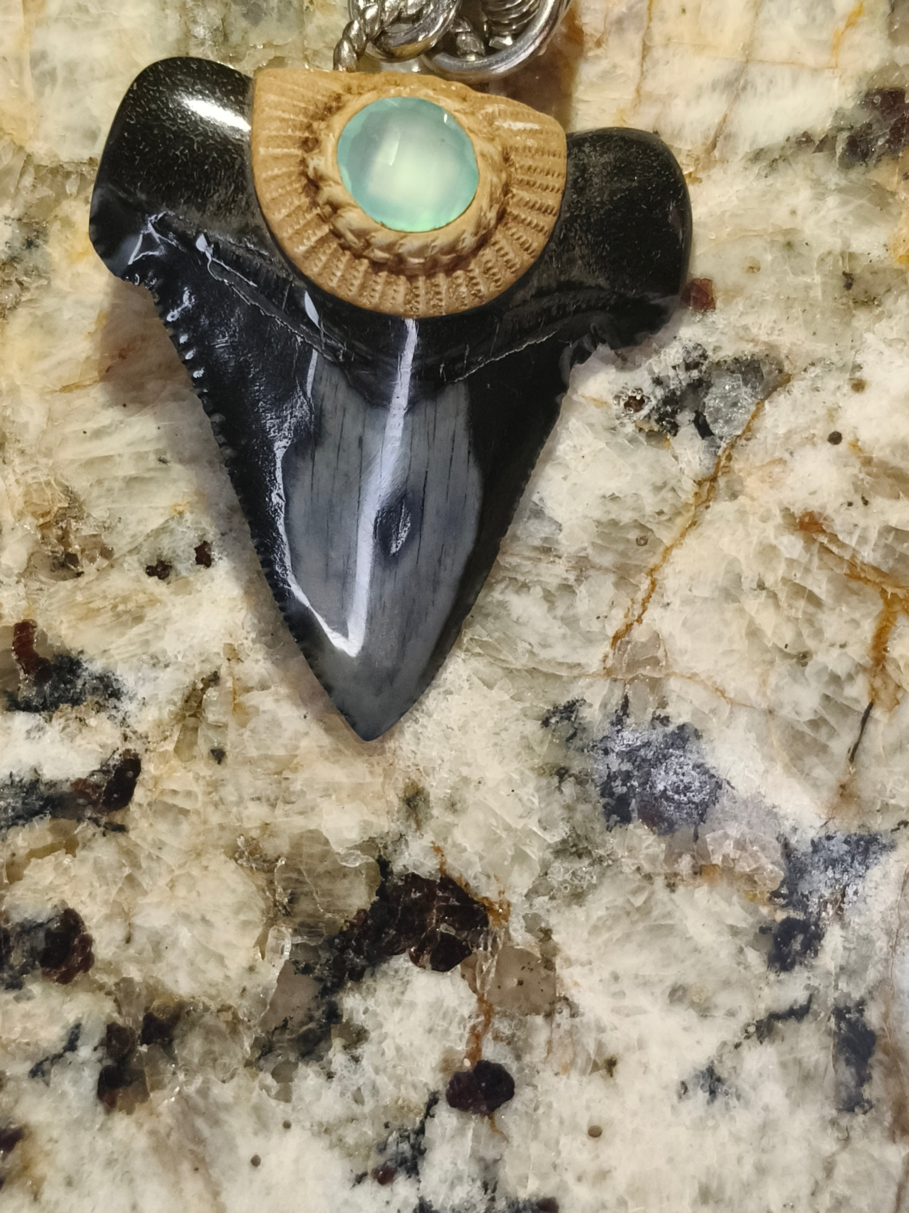 Fossil Tooth + Green Calcite