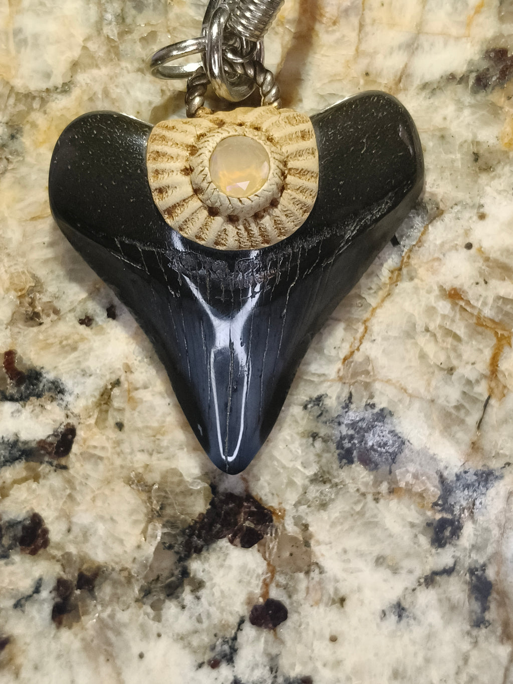 Fossil Tooth + Opal