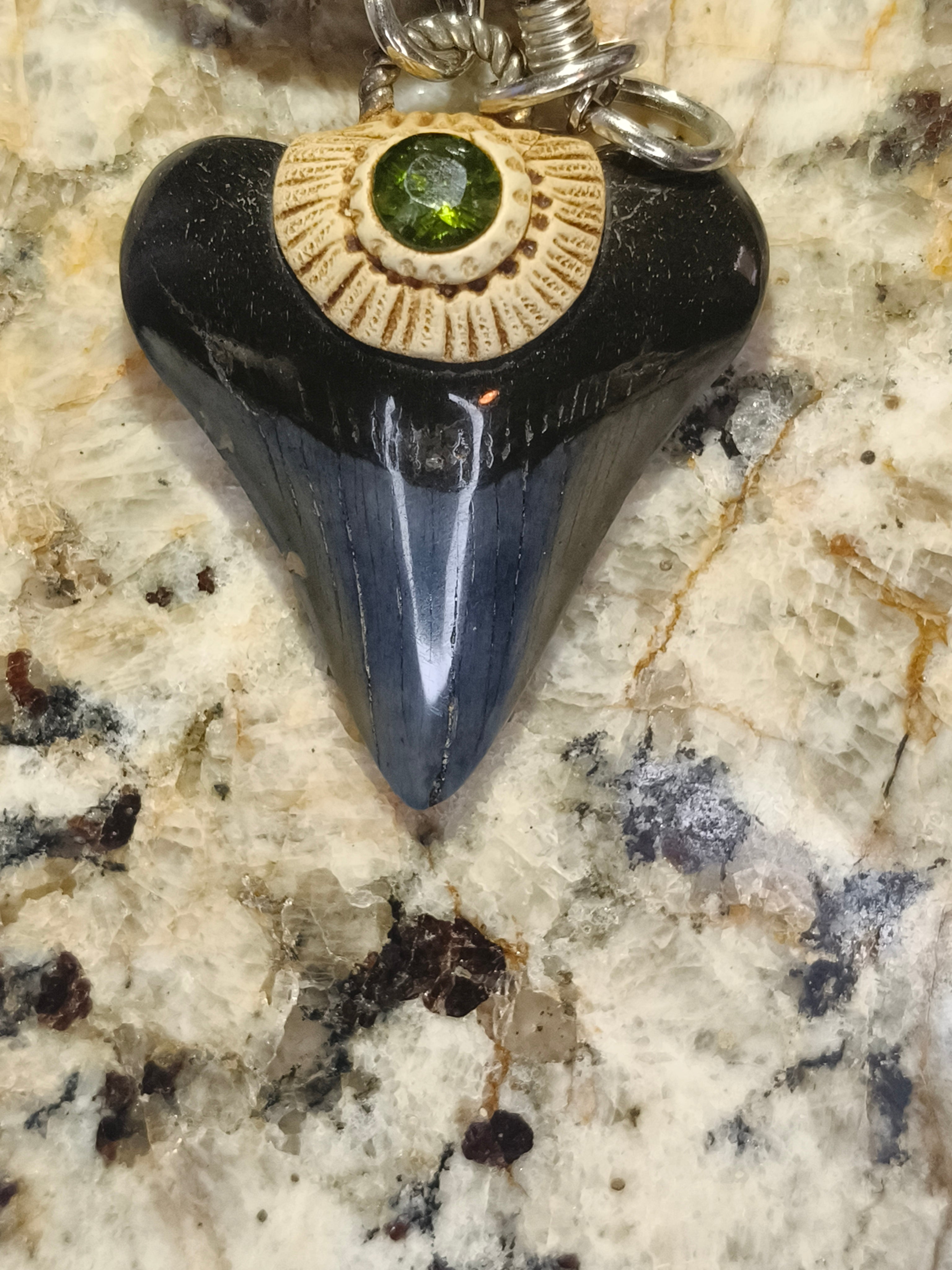 Fossil Tooth + Green Tourmaline