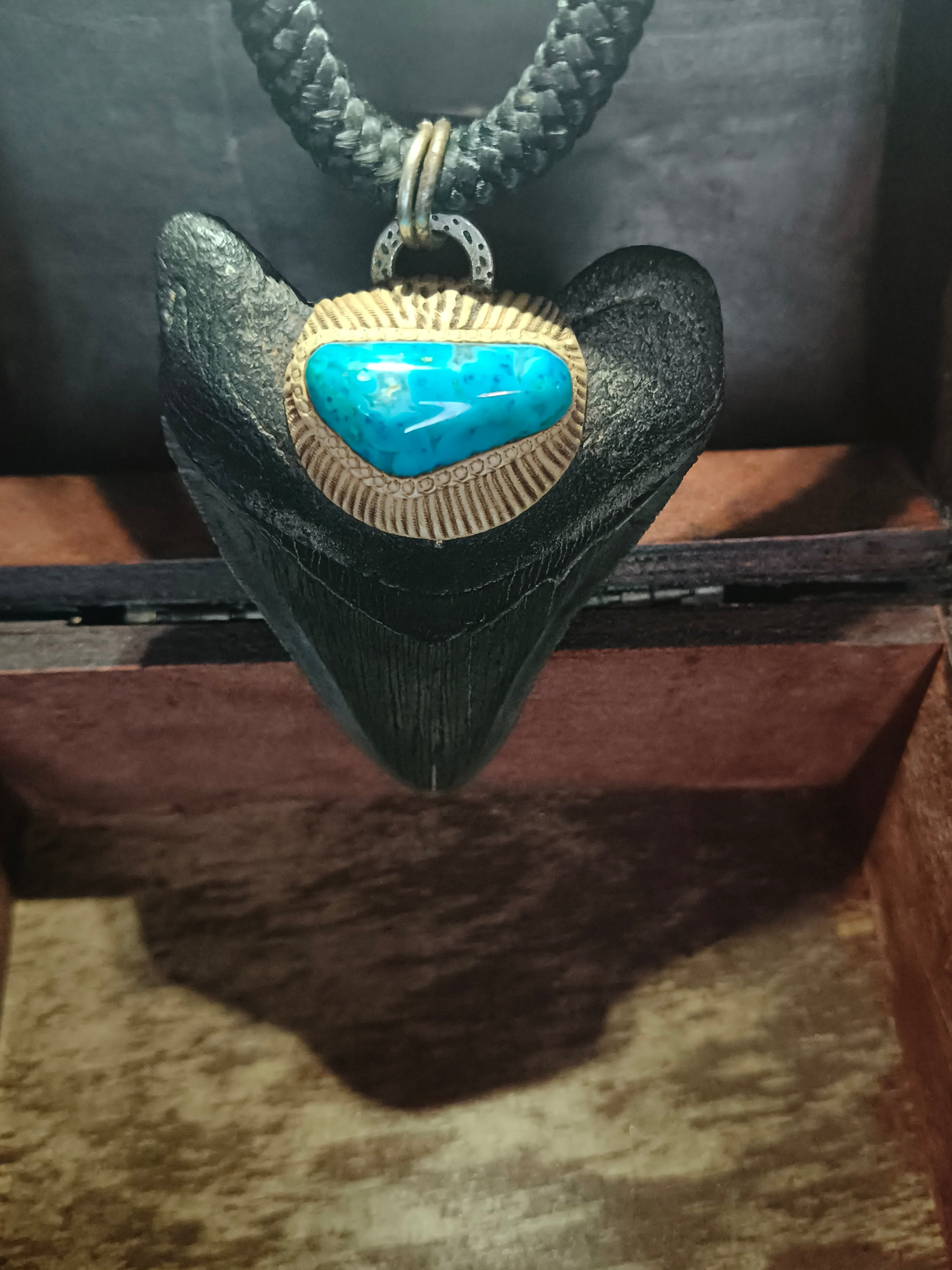 Fossil Megalodon Shark Tooth + Chrysocolla