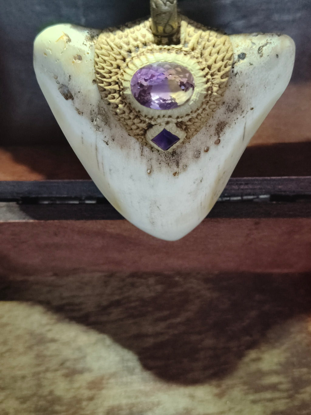 new Caledonian megalodon tooth +Ametrine + Amethyst