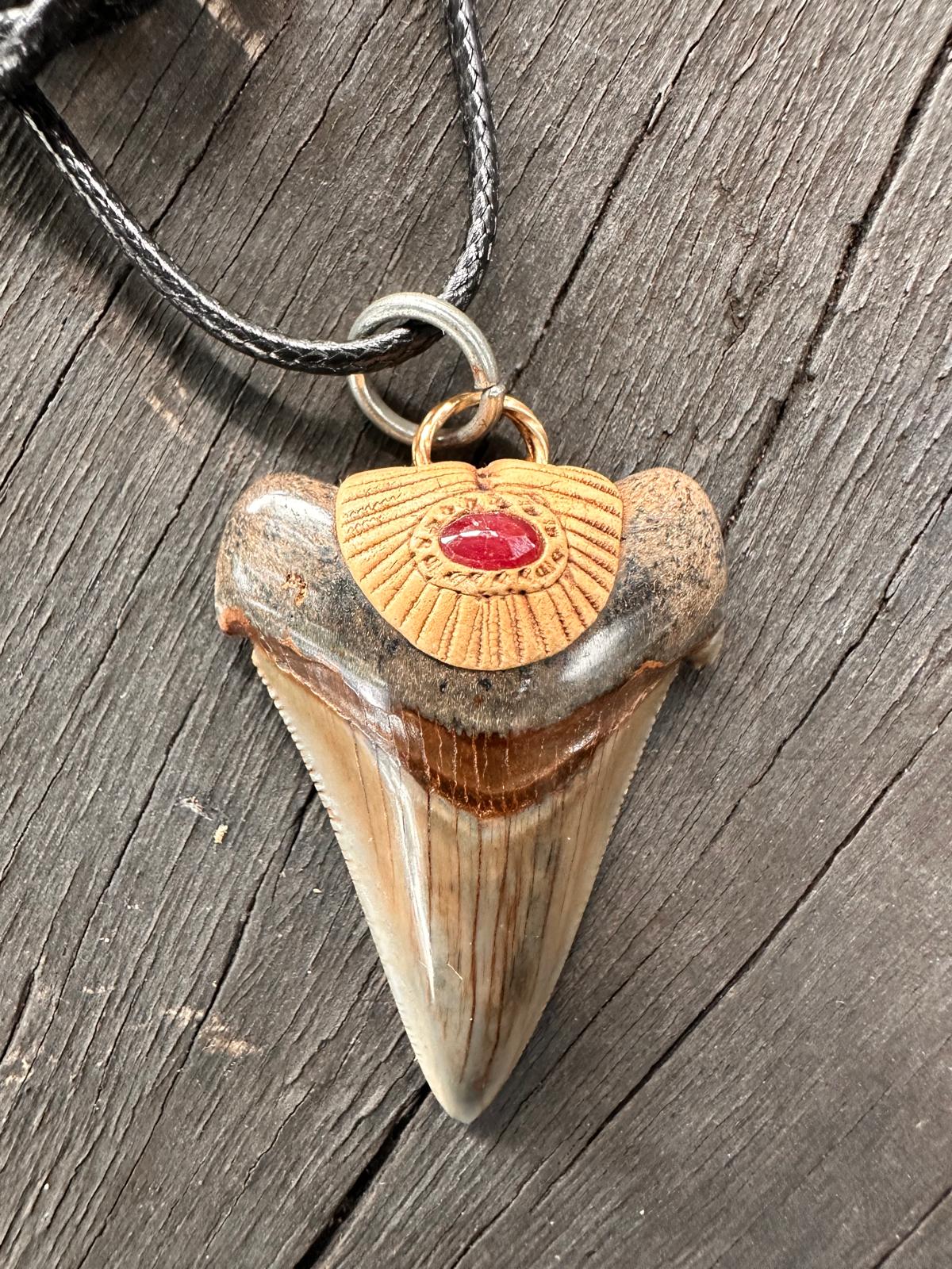 Fossil Tooth +Burma Ruby