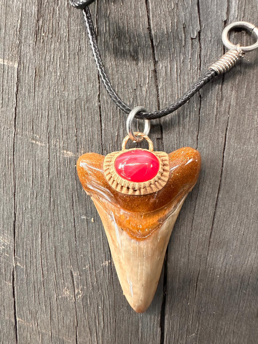 Fossil Tooth + Star Ruby