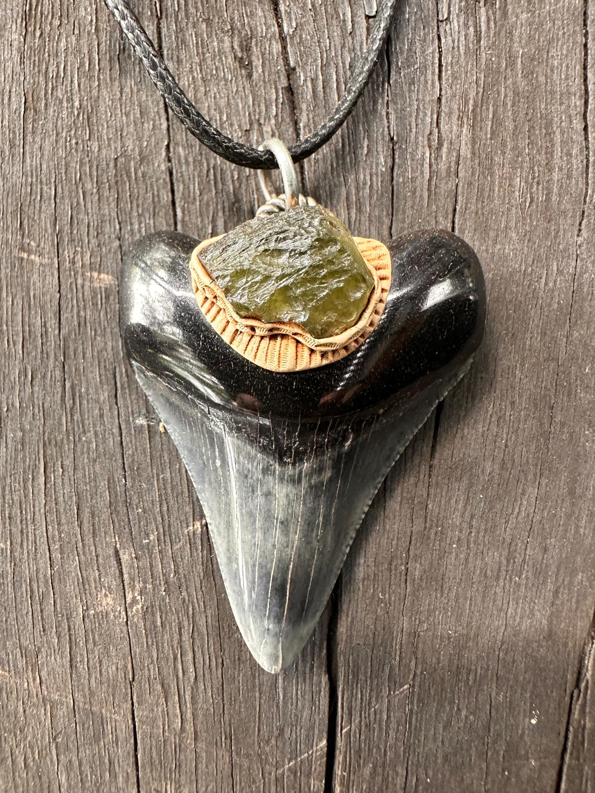 Fossil Tooth + Moldavite