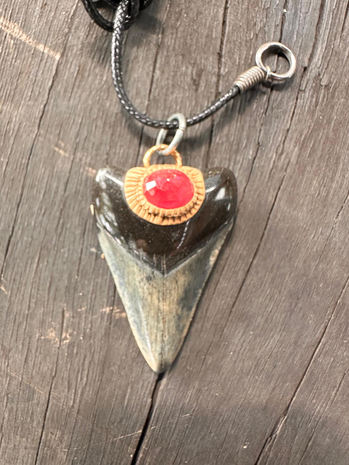 Fossil Tooth + Burma Ruby