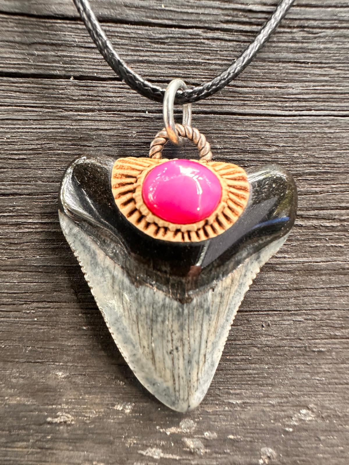 Fossil Tooth + Star Ruby