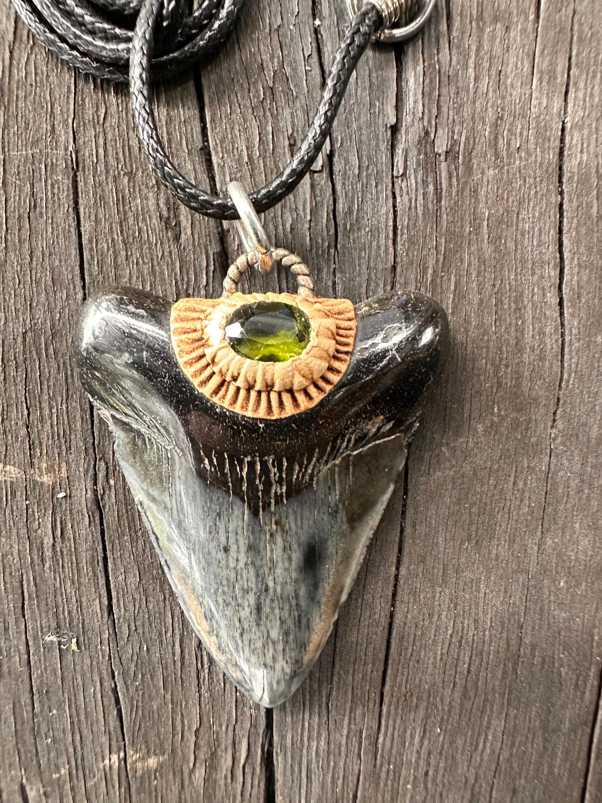 Fossil Tooth + Green Apatite