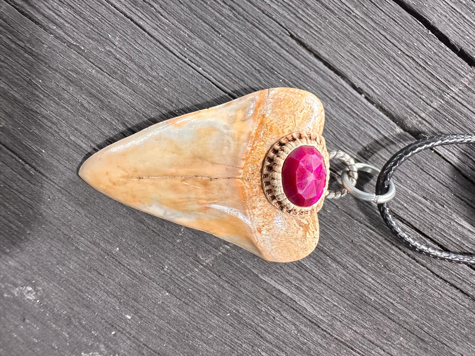 Fossil Tooth + Burma Ruby