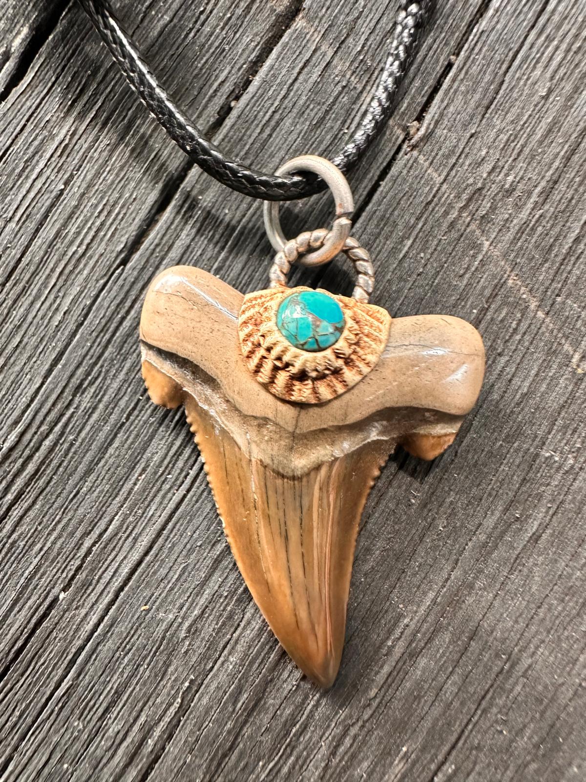 Fossil Tooth +  Blue Copper Turquoise