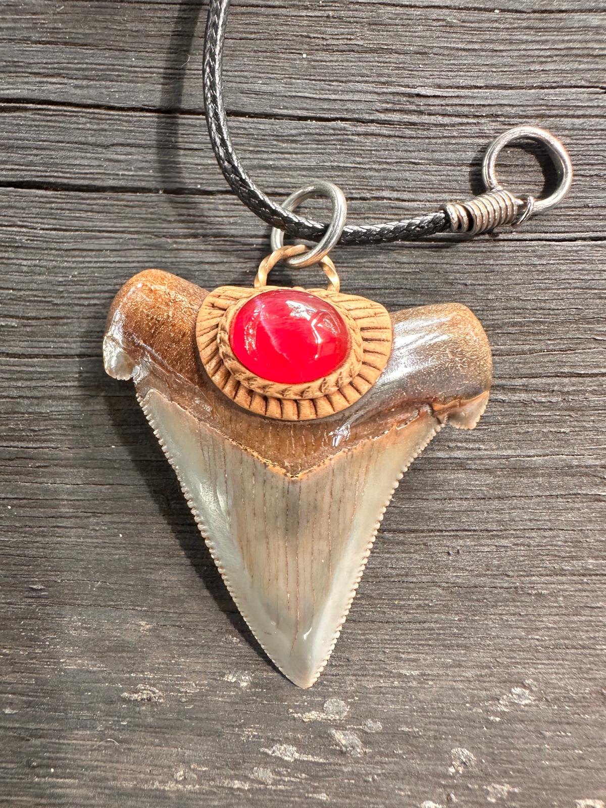 Fossil Tooth + Star Ruby